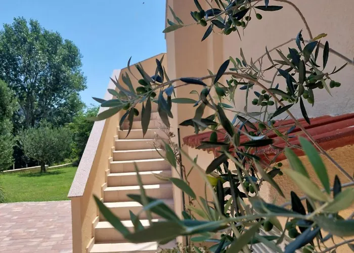 Novouredeni Apartman Marko