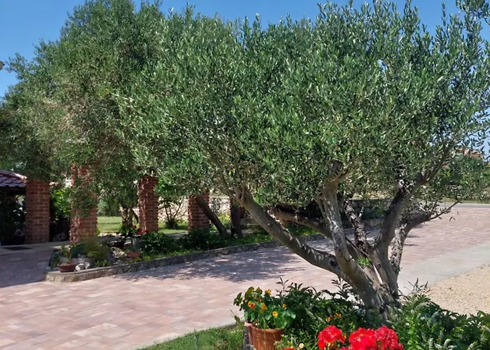 Novouredeni Apartman Marko