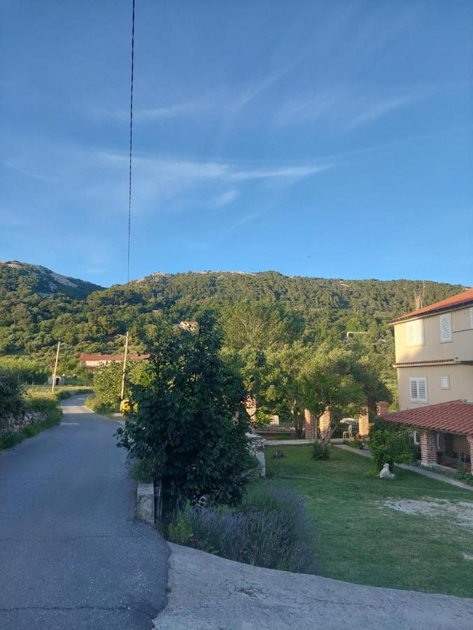 Novouredeni Marko Apartmán