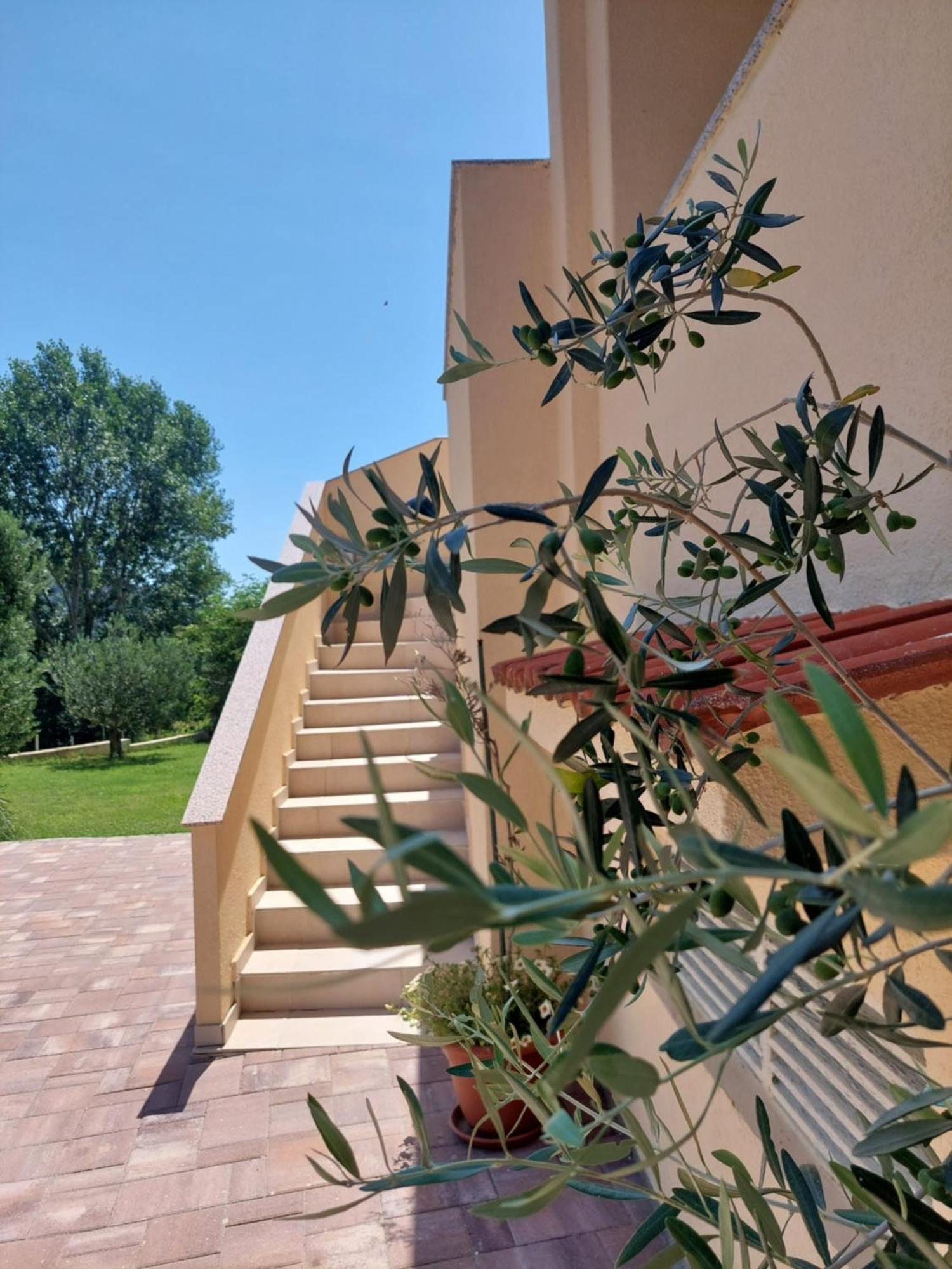 Novouredeni Marko Apartmán *